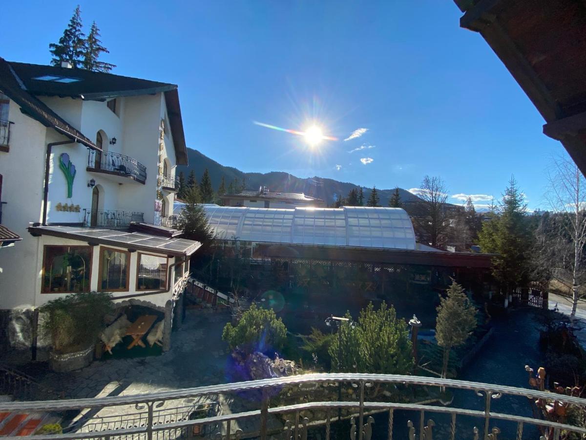 Pensiunea Crocus - Sauna & Billiard Poiana Brasov Extérieur photo